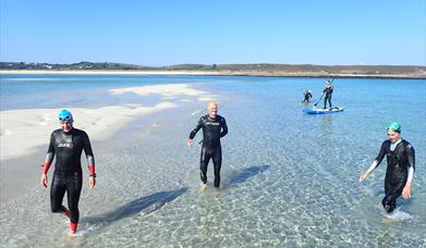 Group of wild swimmers