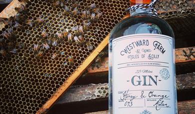 Westward Farm Gin bottle